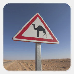 Tunesien, Ksour-Gebiet, Ksar Ghilane, Grand Erg 6 Quadratischer Aufkleber