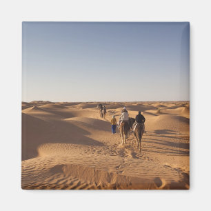 Tunesien, Ksour-Gebiet, Ksar Ghilane, Grand Erg 7 Magnet