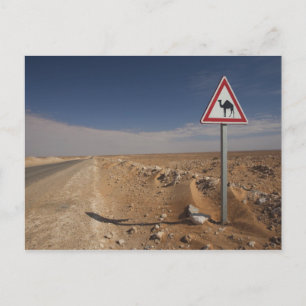 Tunesien, Ksour-Gebiet, Ksar Ghilane, Ölpipeline Postkarte