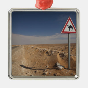 Tunesien, Ksour-Gebiet, Ksar Ghilane, Ölpipeline Silbernes Ornament