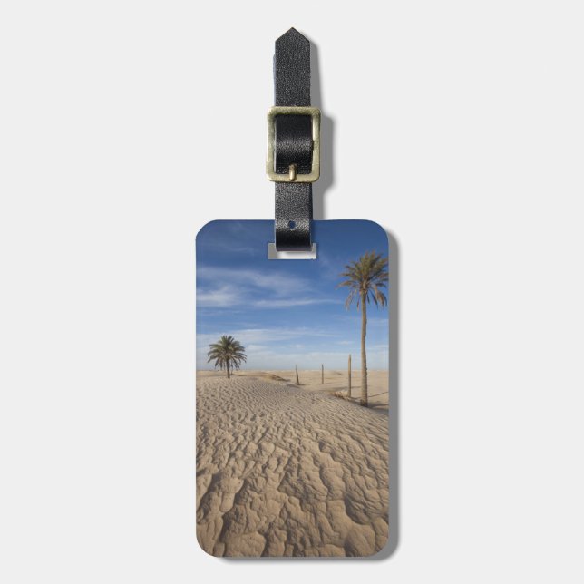 Tunesien, Sahara-Wüste, Douz, Great Dune, Morgengr Gepäckanhänger (Vorderseite vertikal)