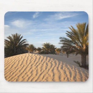 Tunesien, Sahara-Wüste, Douz, Große Düne, Palme 2 Mousepad