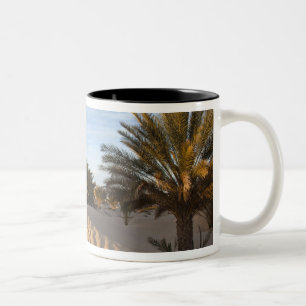 Tunesien, Sahara-Wüste, Douz, Große Düne, Palme 2 Zweifarbige Tasse