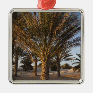 Tunesien, Sahara-Wüste, Douz, Große Düne, Palme Ornament Aus Metall