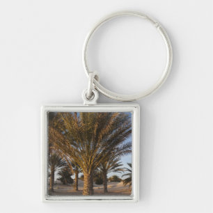 Tunesien, Sahara-Wüste, Douz, Große Düne, Palme Schlüsselanhänger