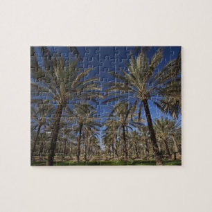 Tunesien, Sahara-Wüste, Douz, Tourismusgebiet, 2