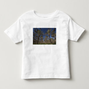 Tunesien, Sahara-Wüste, Douz, Tourismusgebiet, 2 Kleinkind T-shirt