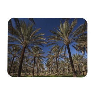 Tunesien, Sahara-Wüste, Douz, Tourismusgebiet, 2 Magnet