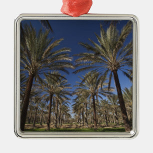 Tunesien, Sahara-Wüste, Douz, Tourismusgebiet, 2 Ornament Aus Metall