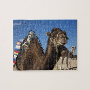 Tunesien, Sahara-Wüste, Douz, Zone Touristique,