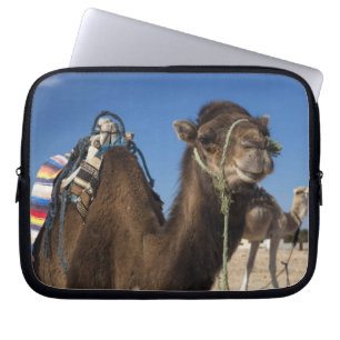 Tunesien, Sahara-Wüste, Douz, Zone Touristique, Laptopschutzhülle