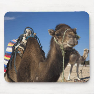 Tunesien, Sahara-Wüste, Douz, Zone Touristique, Mousepad