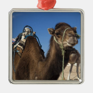 Tunesien, Sahara-Wüste, Douz, Zone Touristique, Silbernes Ornament