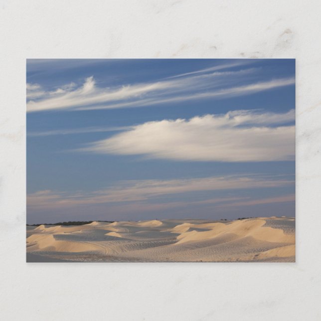 Tunesien, Wüste Sahara, Douz, großer Düne, Dämmeru Postkarte (Vorderseite)