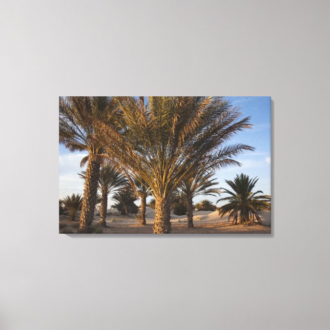 Tunesien, Wüste Sahara, Douz, großer Düne, Palme Leinwanddruck (Vorderseite)