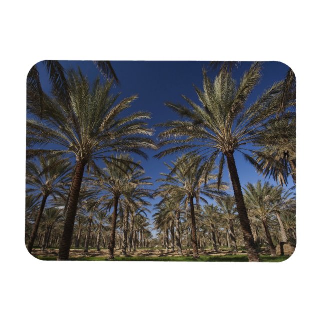 Tunesien, Wüste Sahara, Douz, Zone Touristique, 2 Magnet (Horizontal)