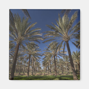 Tunesien, Wüste Sahara, Douz, Zone Touristique, 2 Magnet