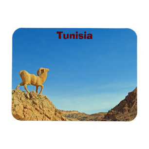 Tunesier Ziegenstatue Magnet
