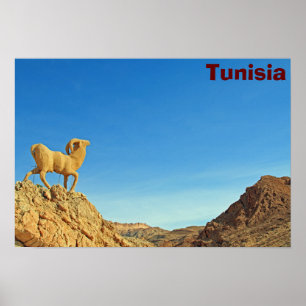 Tunesier Ziegenstatue Poster