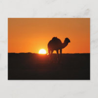 Tunesische Wüste bei Sonnenuntergang