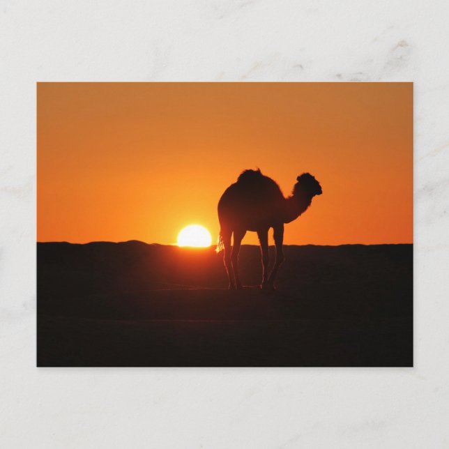 Tunesische Wüste bei Sonnenuntergang Postkarte (Vorderseite)