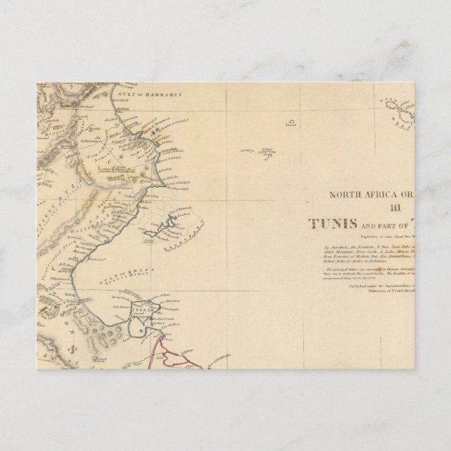 Tunis, Tripolis Postkarte (Vorderseite)