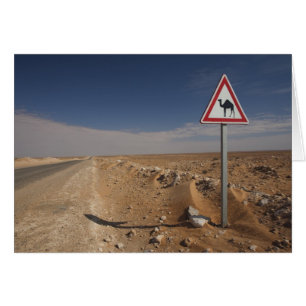 Tunisie, région des Ksour, Ksar Ghilane, oléoduc