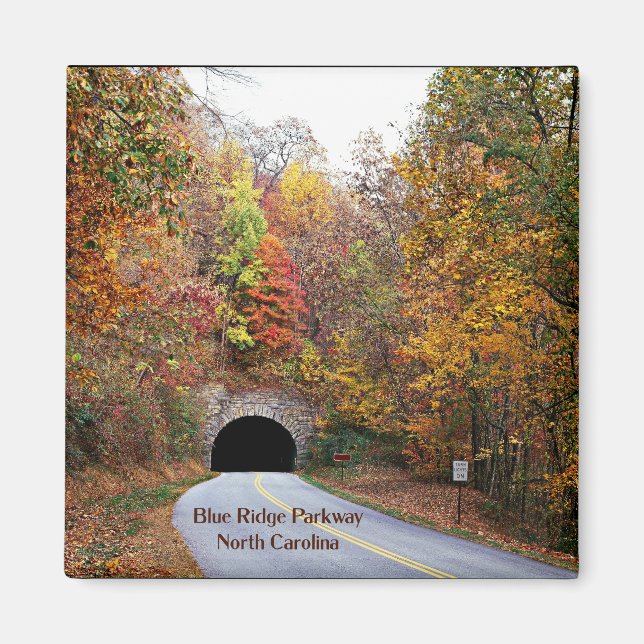 Tunnel auf dem Blue Ridge Parkway von North Caroli Magnet (Vorne)