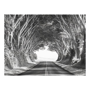 Tunnel d'arbres Photographie Kauai Noir et Blanc