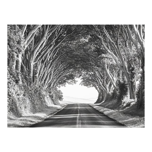 Tunnel de l'arbre Kauai Photographie noir et blanc (Devant)