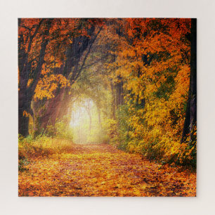 Tunnel der Herbstbäume