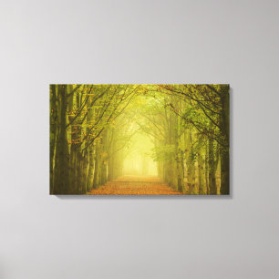 Tunnel des Lichtes Leinwanddruck