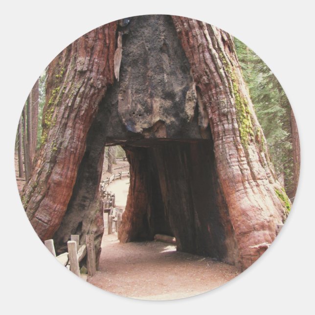 Tunnelbaum - Yosemite Runder Aufkleber (Vorderseite)