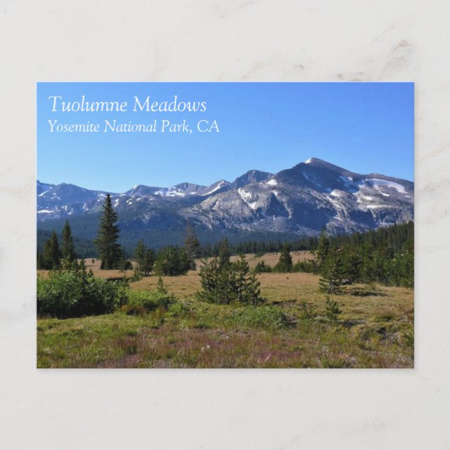 Tuolumne Meadows, Yosemite, CA Carte postale (Devant)