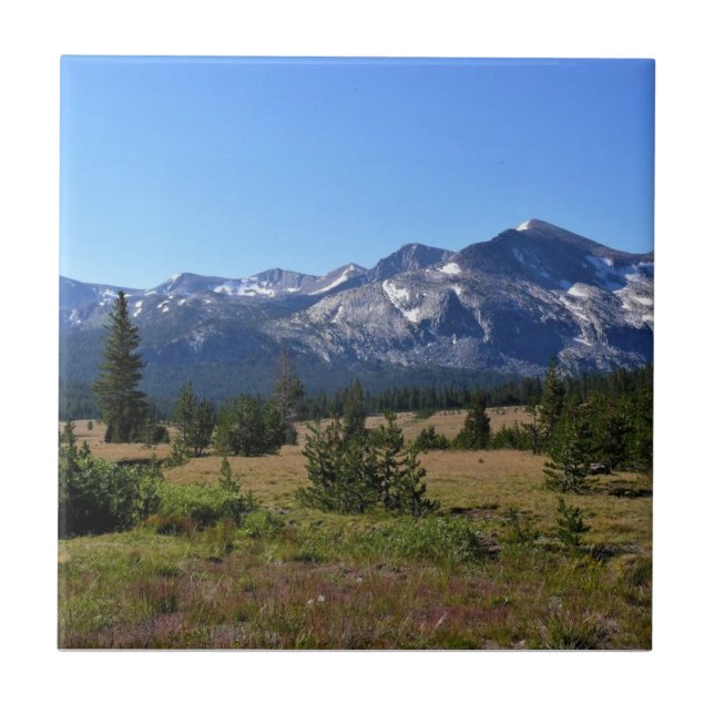 Tuolumne Meadows, Yosemite, CA Fliese (Vorderseite)