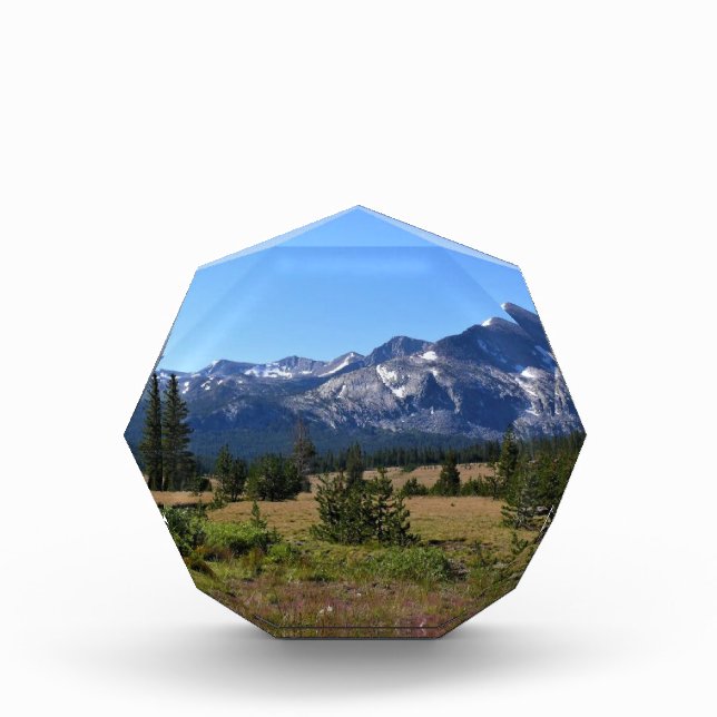 Tuolumne Meadows, Yosemite, CA Fotoblock (Vorderseite)