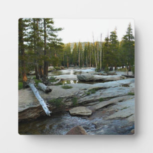 Tuolumne River by Campground, Yosemite, CA Fotoplatte
