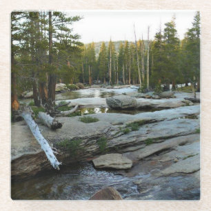 Tuolumne River by Campground, Yosemite, CA Glasuntersetzer