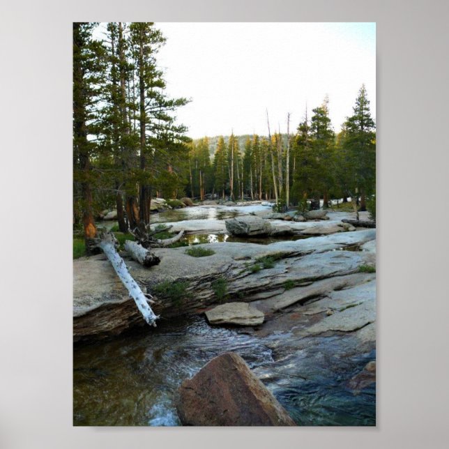 Tuolumne River by Campground, Yosemite, CA Poster (Vorne)