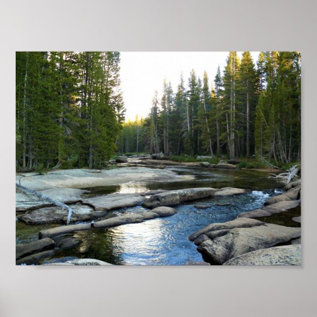 Tuolumne River by Campground, Yosemite, CA Poster (Vorne)
