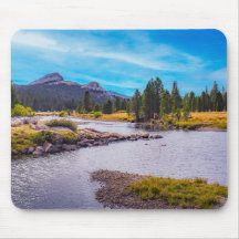 Tuolumne-Wiese & Tuolumne-Bach