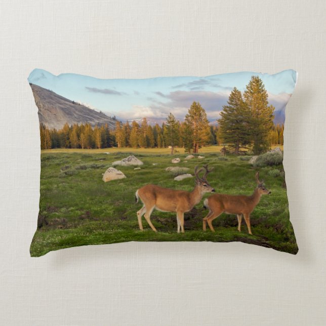 Tuolumne Wiese, Yosemite Dekokissen (Vorderseite)