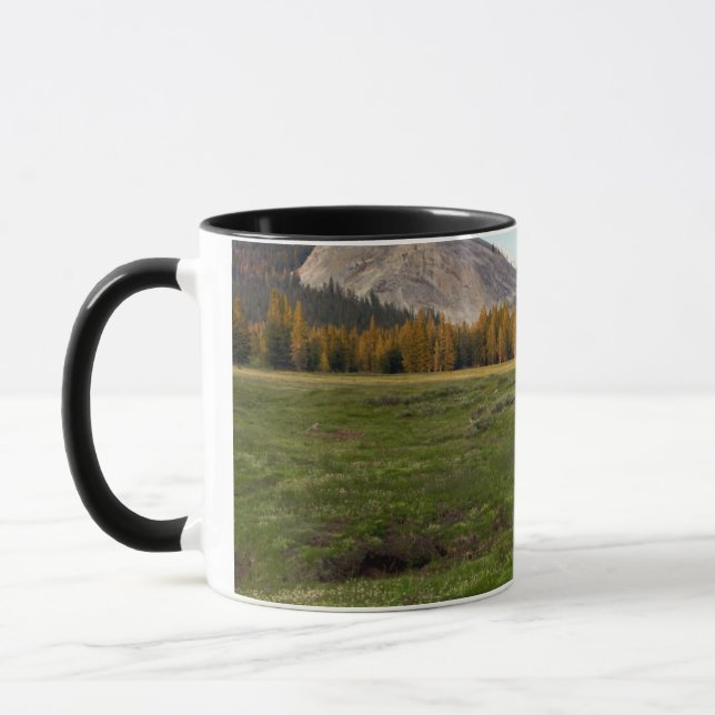 Tuolumne Wiese, Yosemite Tasse (Links)