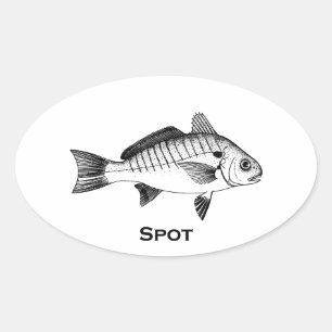 Tüpfelfisch (betitelt) ovaler aufkleber