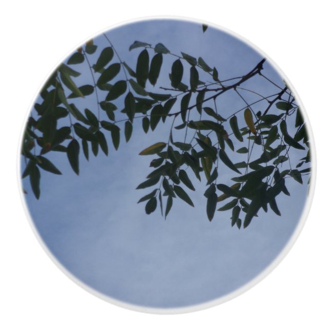 TÜR PULL KERAMIK STIL DESIGN KERAMIKKNAUF (Vorderseite)