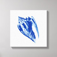 Turban Conch Muschel, Indigo Blau und Weiß