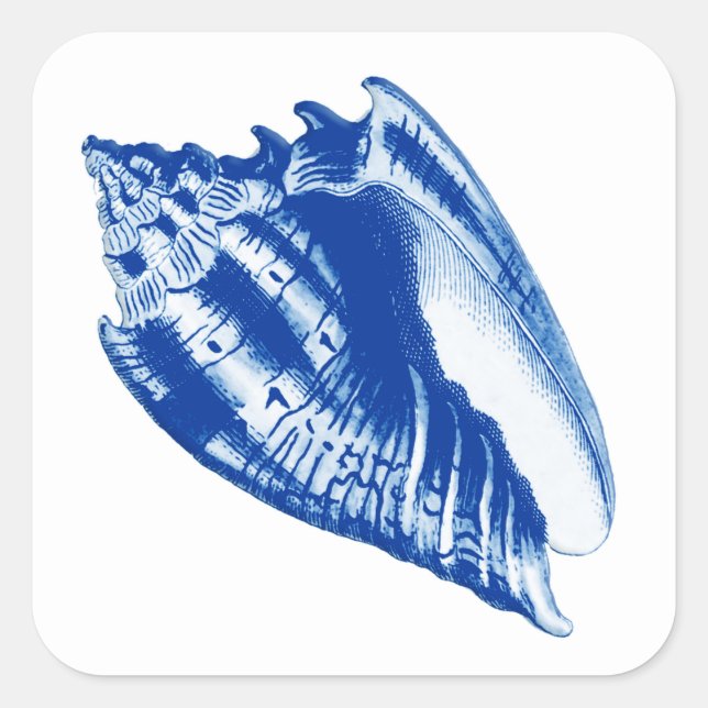 Turban Conch Muschel, Indigo Blau und Weiß Quadratischer Aufkleber (Vorderseite)