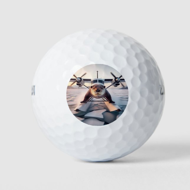 Turbo Prop Twin Motor Float Flugzeug Bush Kanada Golfball (Vorderseite)