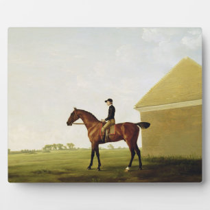 Turf, c.1765 (Öl auf Leinwand) (siehe 152743) Fotoplatte