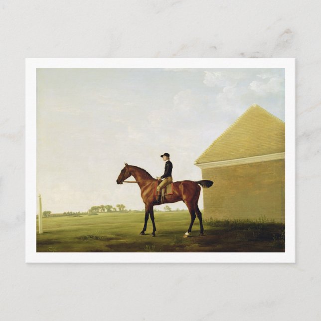 Turf, c.1765 (Öl auf Leinwand) (siehe 152743) Postkarte (Vorderseite)
